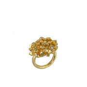 N°765 RING