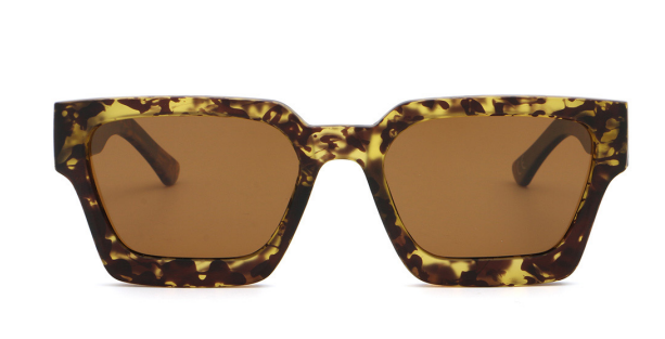 CASA SUNGLASSES