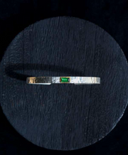 RAJA BANGLE
