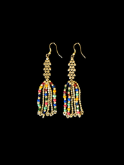 Nataraj Collection - Dharma Multicolor Earrings