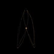 Nataraj Collection - Jewelry Spiral II Body