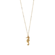 N°461 NECKLACE