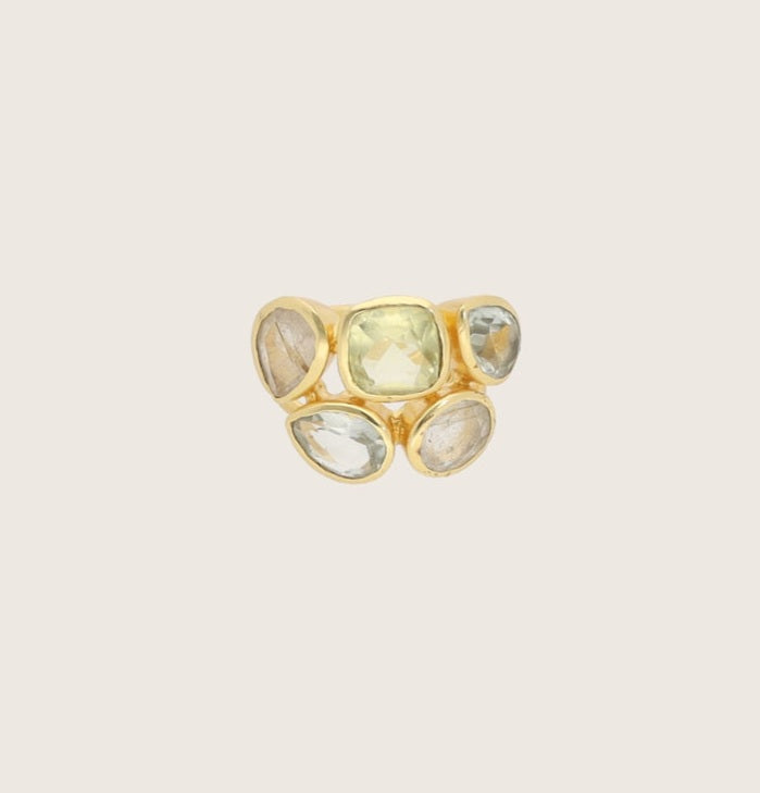FIA RING