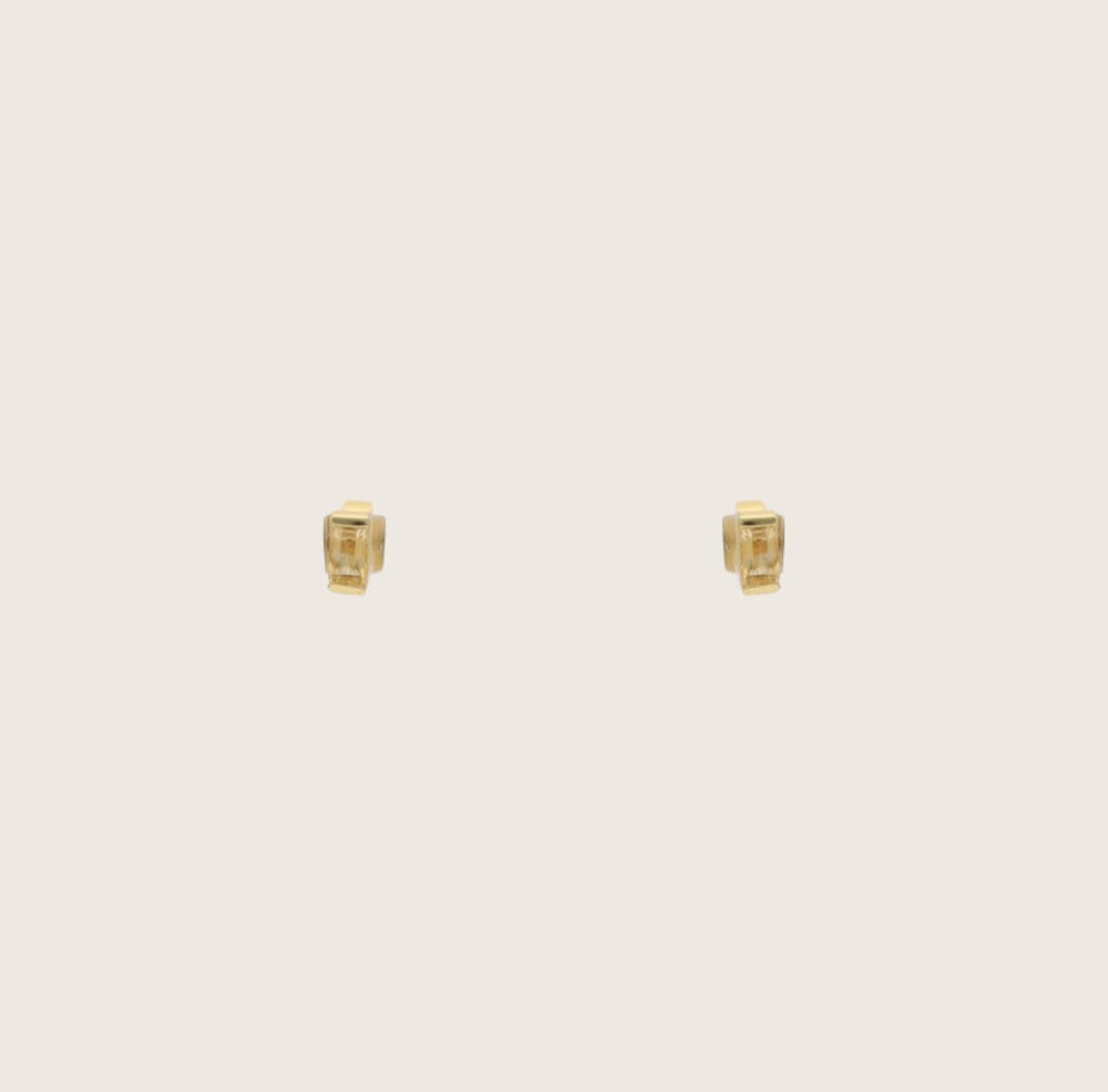 SINIU EARRINGS