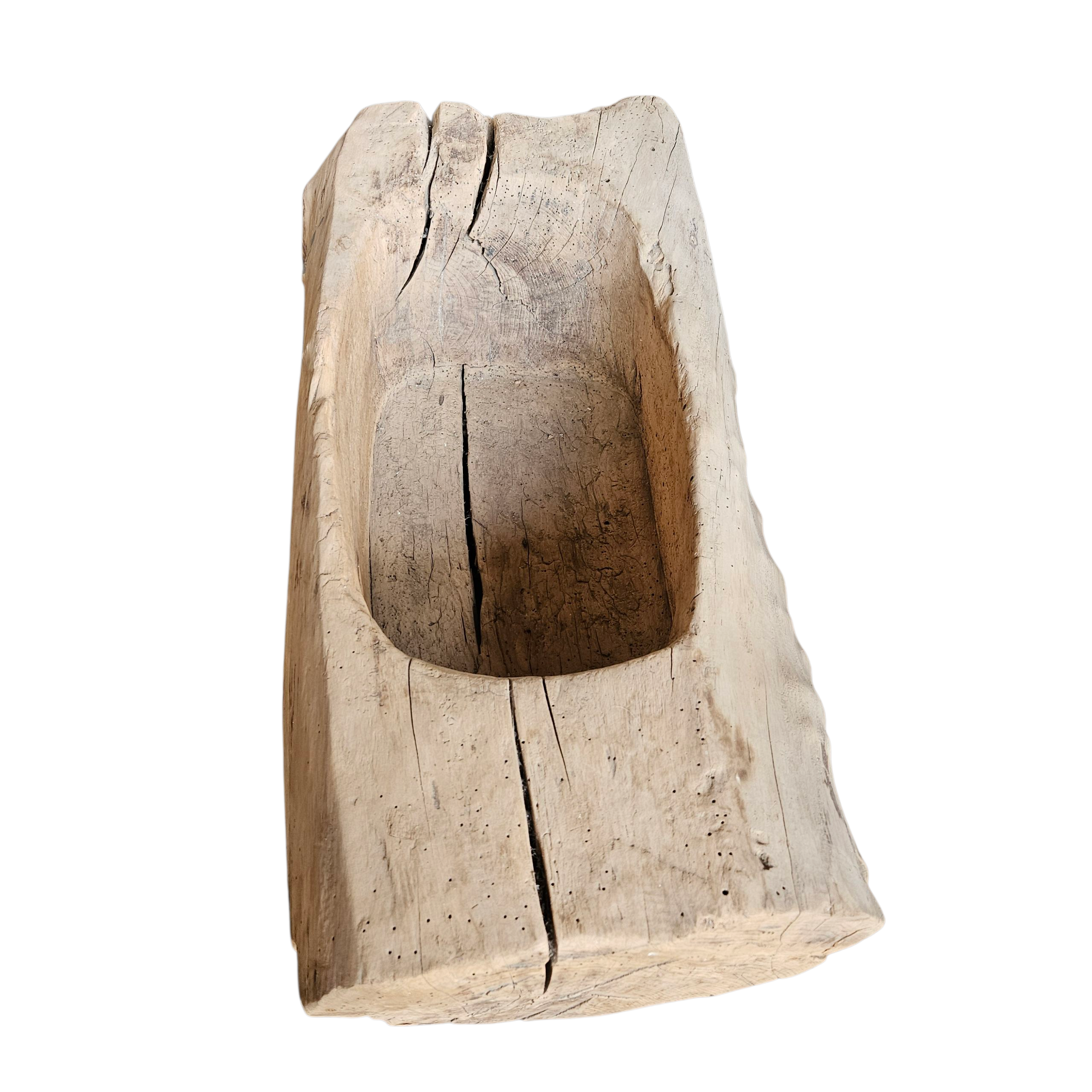 TRUNK WOOD