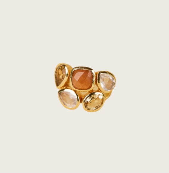 FIA RING