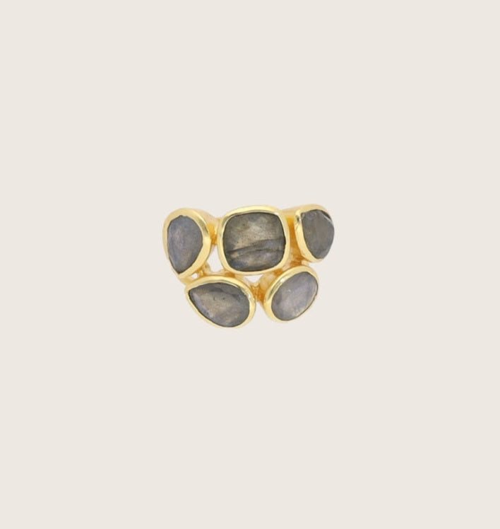 FIA RING