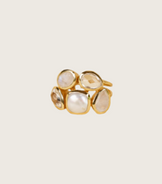 FIA RING