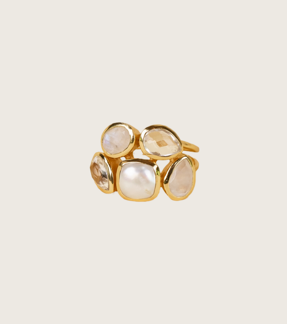 FIA RING